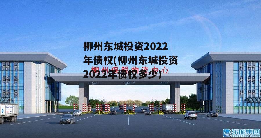 柳州东城投资2022年债权(柳州东城投资2022年债权多少)
