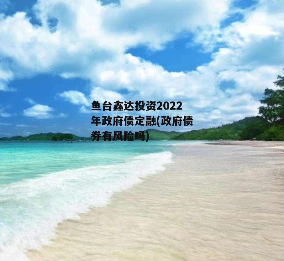 鱼台鑫达投资2022年政府债定融(政府债券有风险吗)