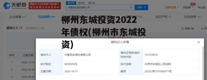 柳州东城投资2022年债权(柳州市东城投资)