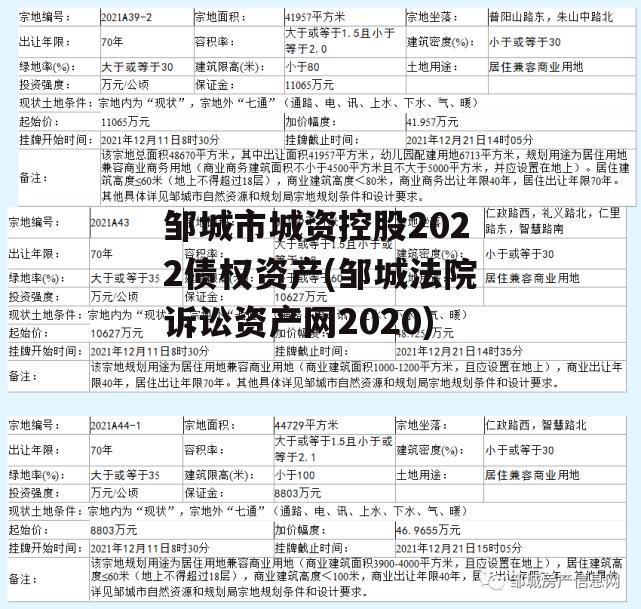 邹城市城资控股2022债权资产(邹城法院诉讼资产网2020)