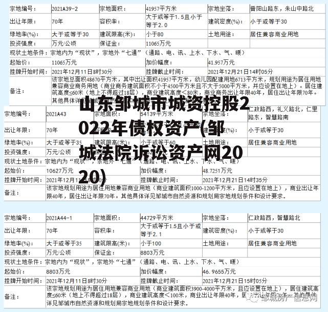 山东邹城市城资控股2022年债权资产(邹城法院诉讼资产网2020)