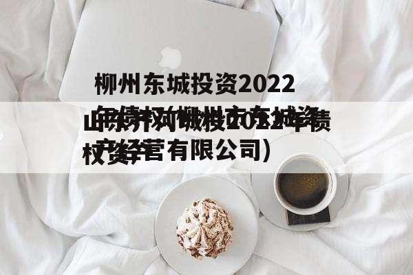 柳州东城投资2022年债权(柳州市东城资产经营有限公司)