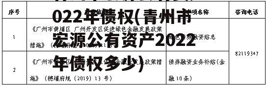 青州市宏源公有资产2022年债权(青州市宏源公有资产2022年债权多少)