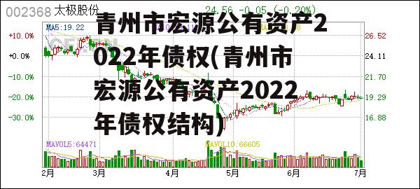 青州市宏源公有资产2022年债权(青州市宏源公有资产2022年债权结构)
