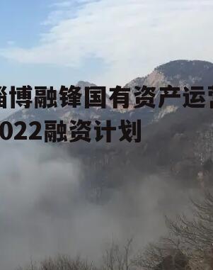 淄博融锋国有资产运营2022融资计划