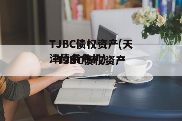 TJBC债权资产(天津债务危机)