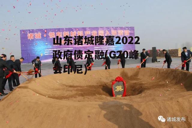 山东诸城隆嘉2022政府债定融(G20峰会印尼)